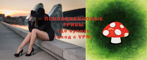 эйфоретик Кинешма