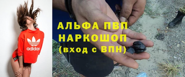 СК Киренск