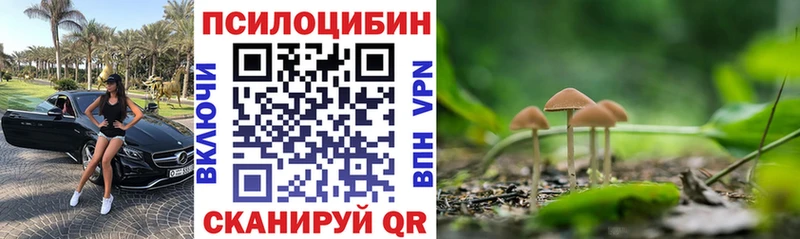 Купить где  Нязепетровск  Галлюциногенные грибы MAGIC MUSHROOMS 